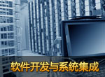 軟件開發